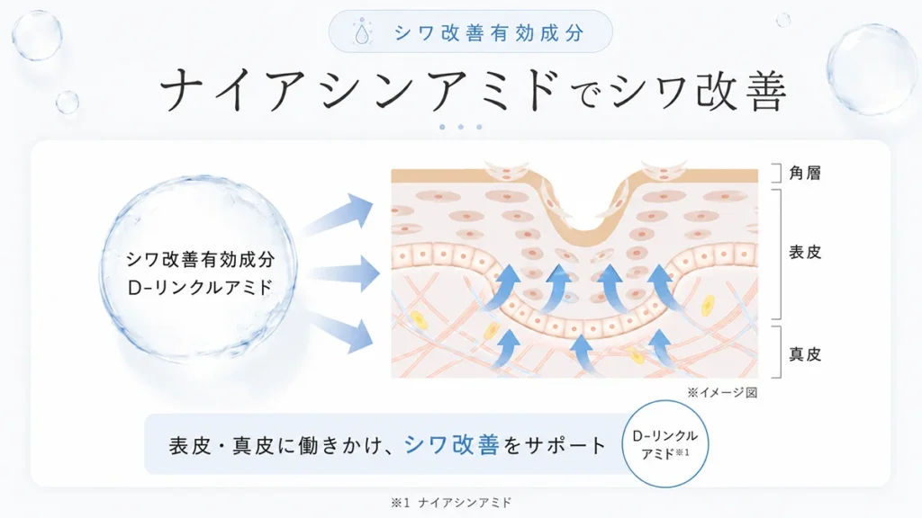 ディセンシアの有効成分:ナイアシンアミドとグリチルリチン酸2K